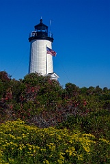 Wildflowers Surround Cape Poge Light in Massachusetts